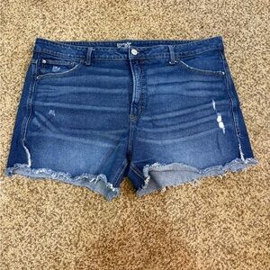 Terra & Sky Blue Distressed Jean Shorts